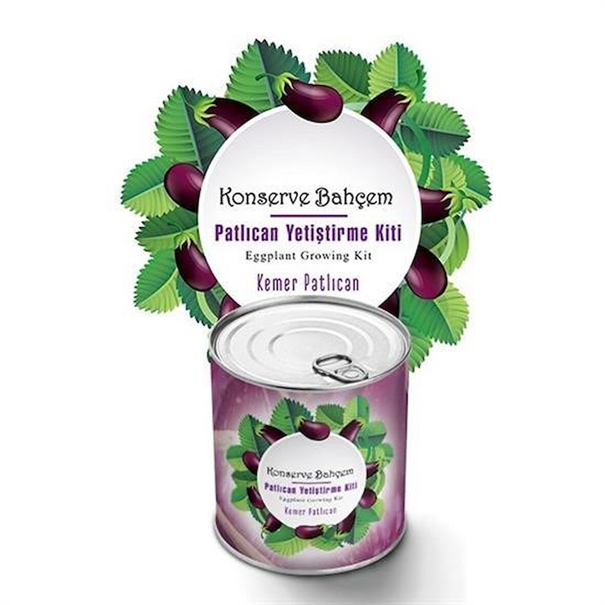 caselka® Konserve Bahçem Evde Konservede  Kemer PatlıcanYetiştirme Kiti