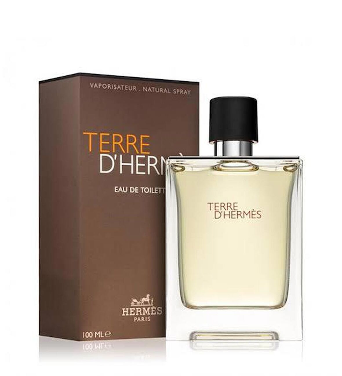 Hermes Terre D'Hermes EDT 100 ml Erkek Parfüm