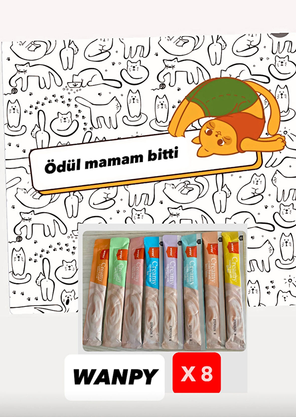 WANPY Karışık Lezzetli Sıvı Kedi Ödül Maması 14 gr X 8 Adet SK:09.2026