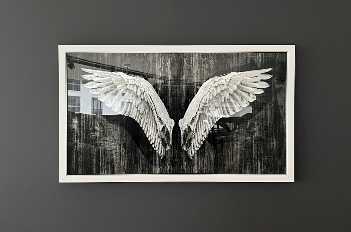 Siyah Beyaz Kanatlar Temalı Modern Tablo