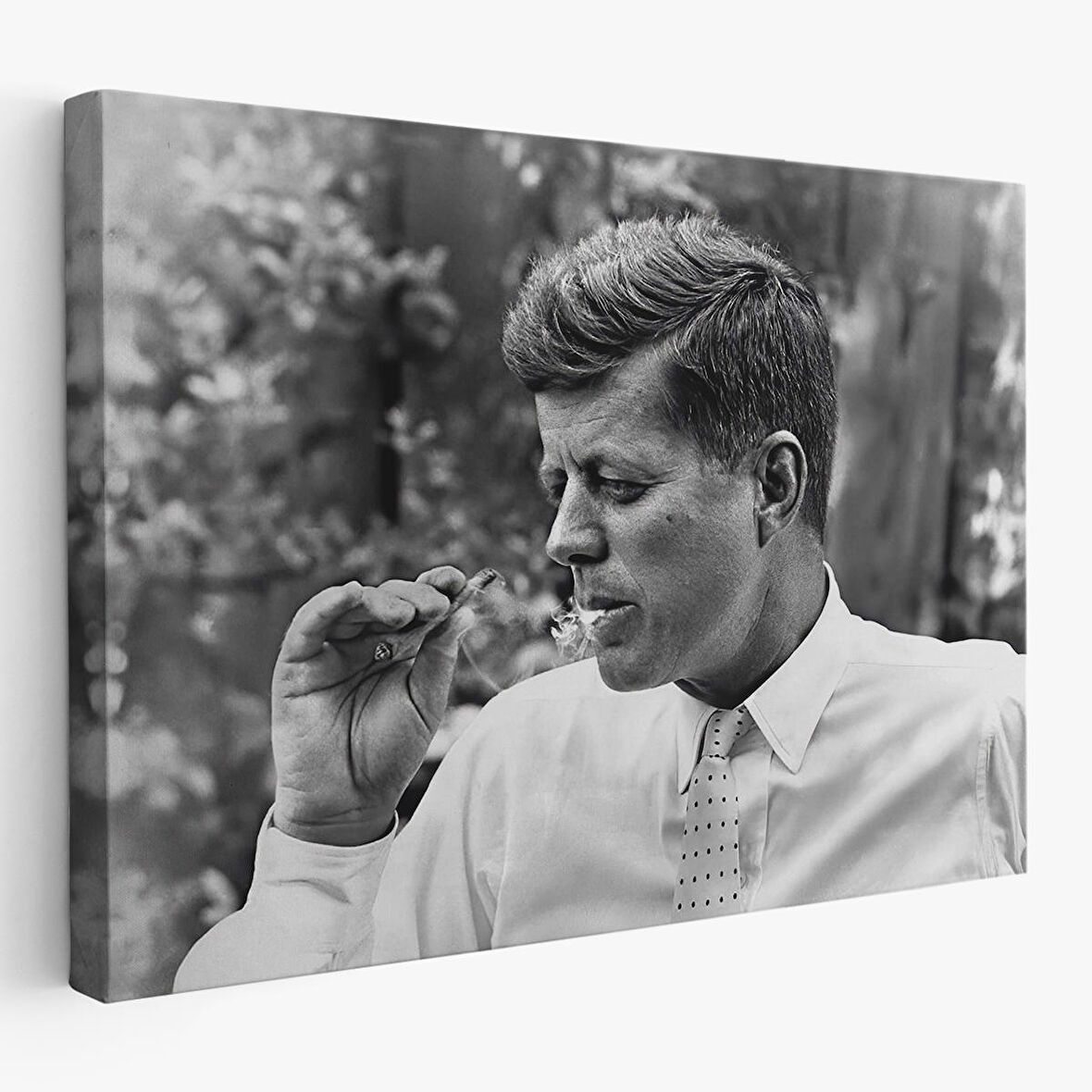 Marijuana İçen John F. Kennedy Tablosu-6588