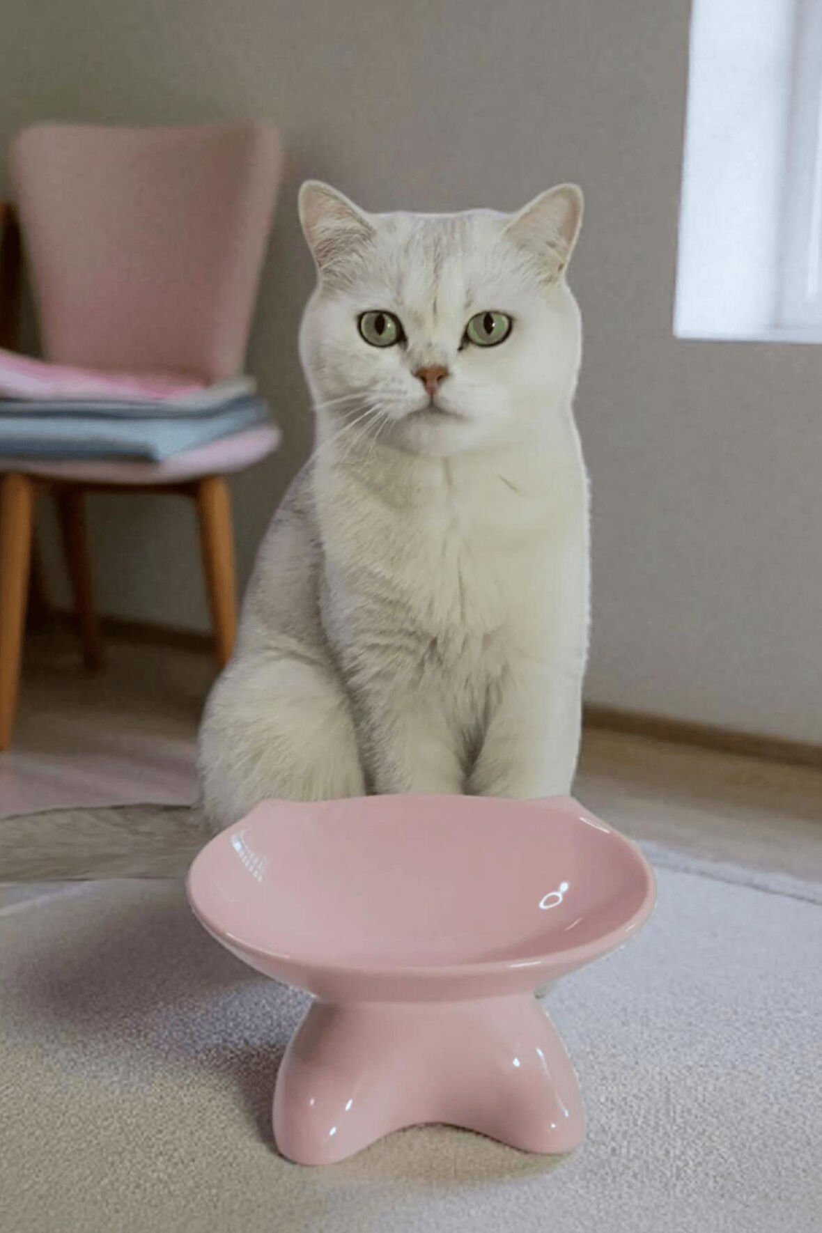 Özel Tasarım Lüks Seramik Kedi Mama Kabı Pempe