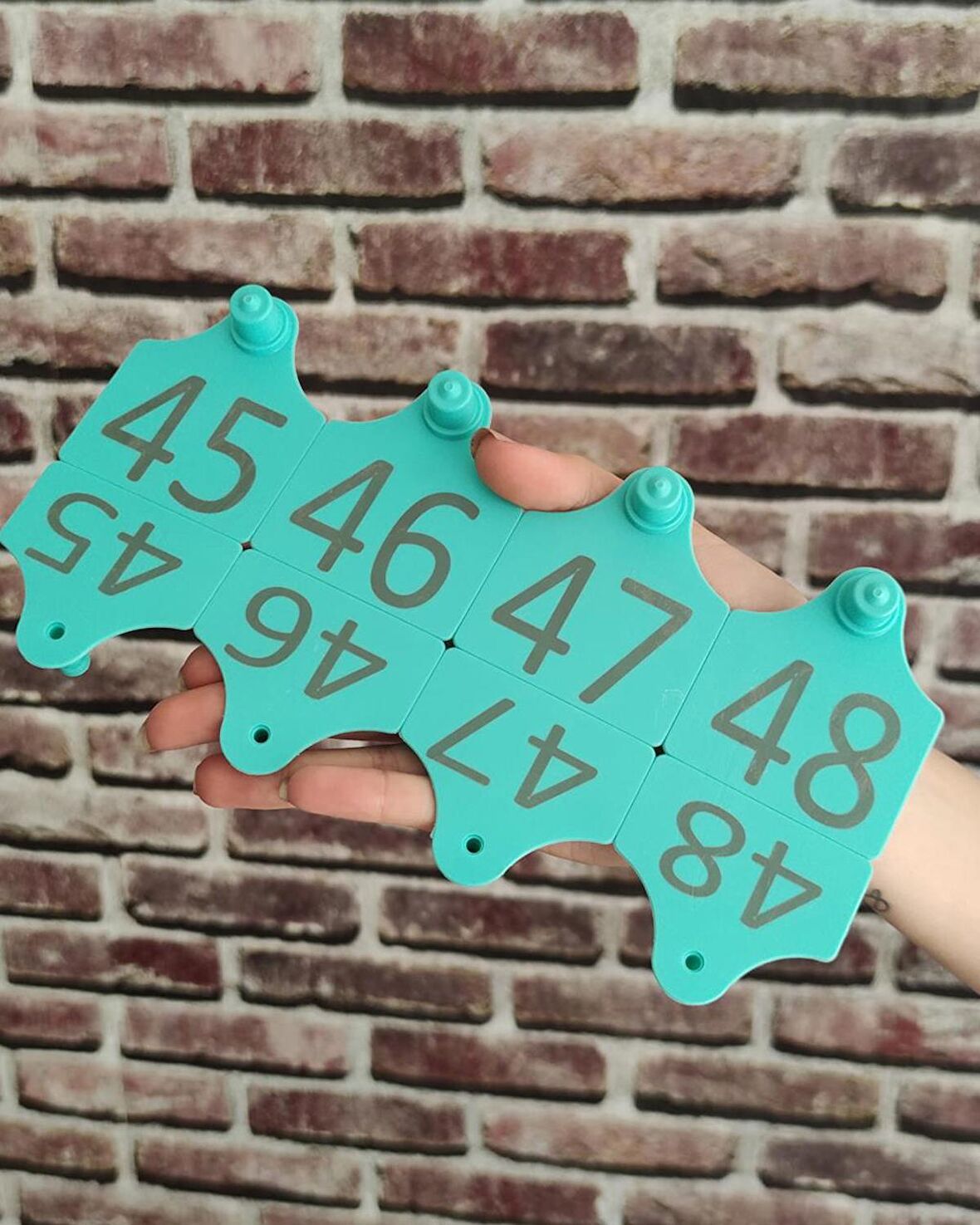 Büyükbaş Hayvan Kulak Küpesi Mavi 1-450 Arası
