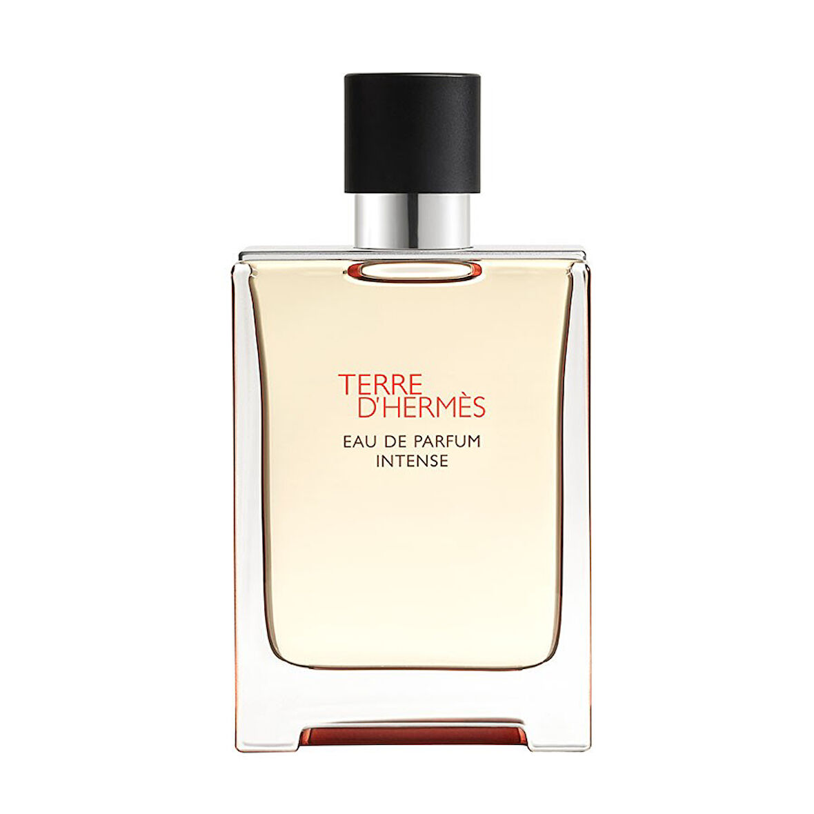 Hermès Terre d'Hermès, Eau de Parfum Intense 100ML Erkek Parfüm