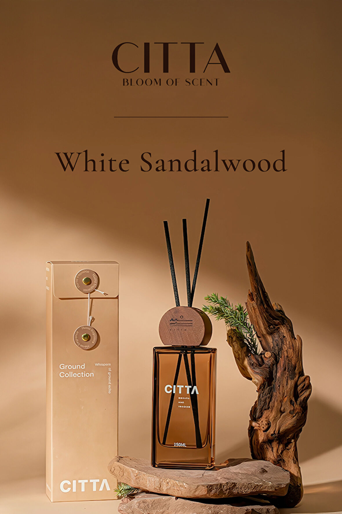 CITTA Bloom of Scent | Ground Serisi | White Sandalwood Oda Kokusu | 150 ml Oda Kokusu 