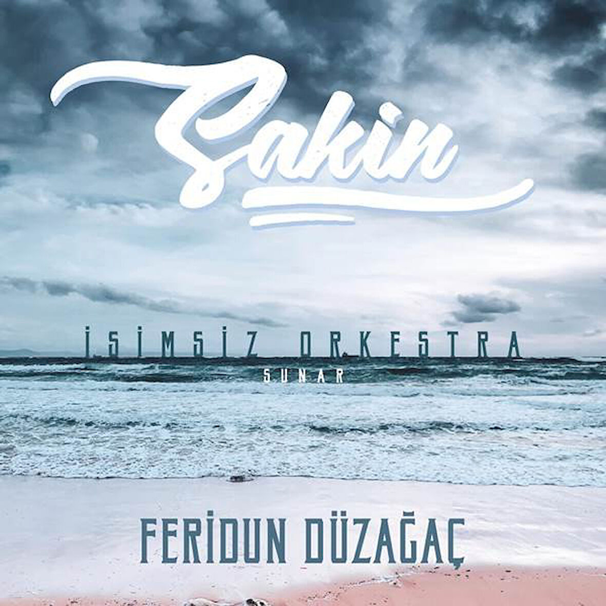 Feridun Düzağaç Sakin - Plak