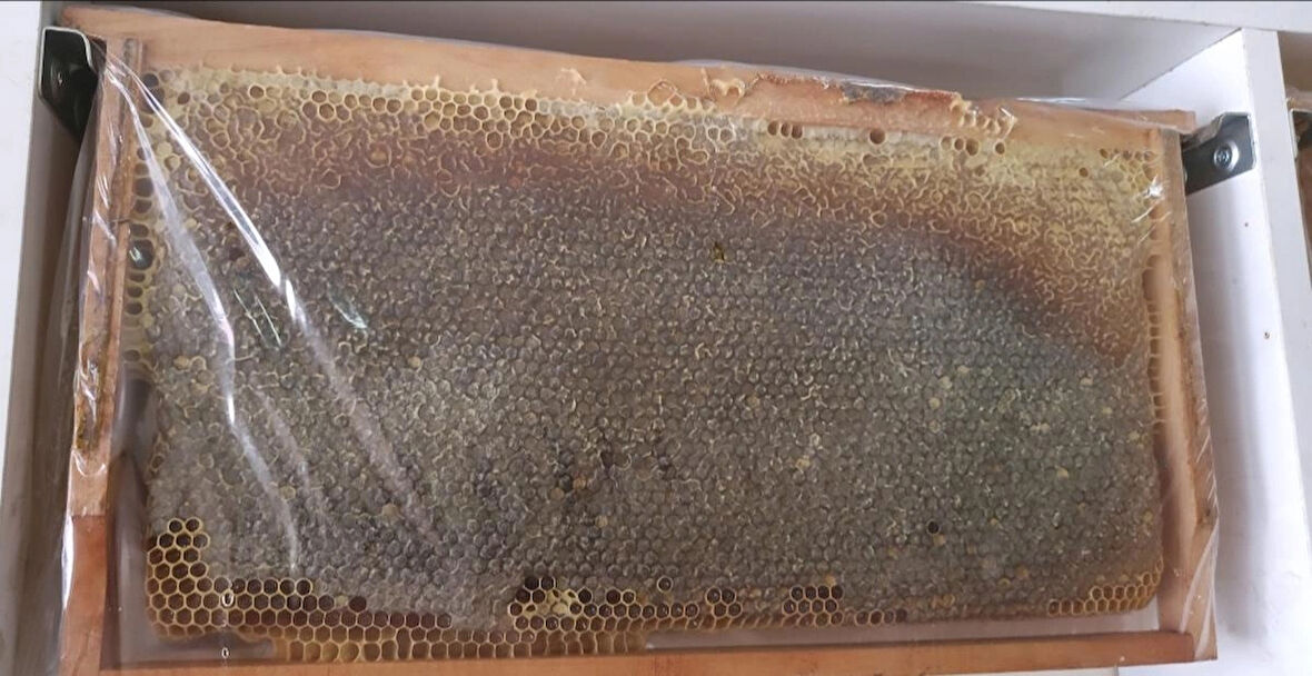 Ozmuş Kekik Balı 3100gr