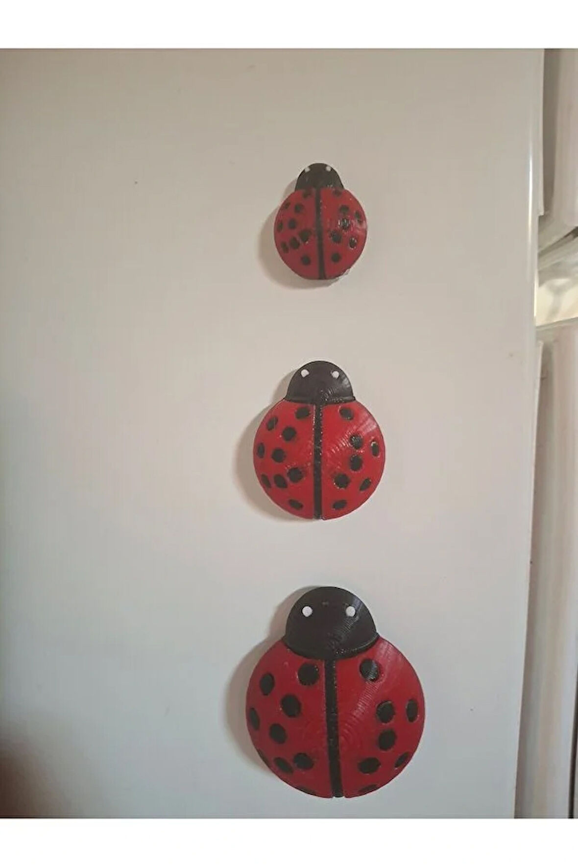 Uğur Böceği Figürlü Magnet 3'lü Set