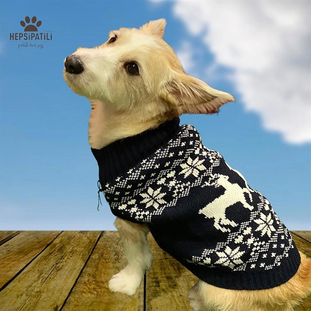 Alphadog Noel Navy Köpek Kazağı