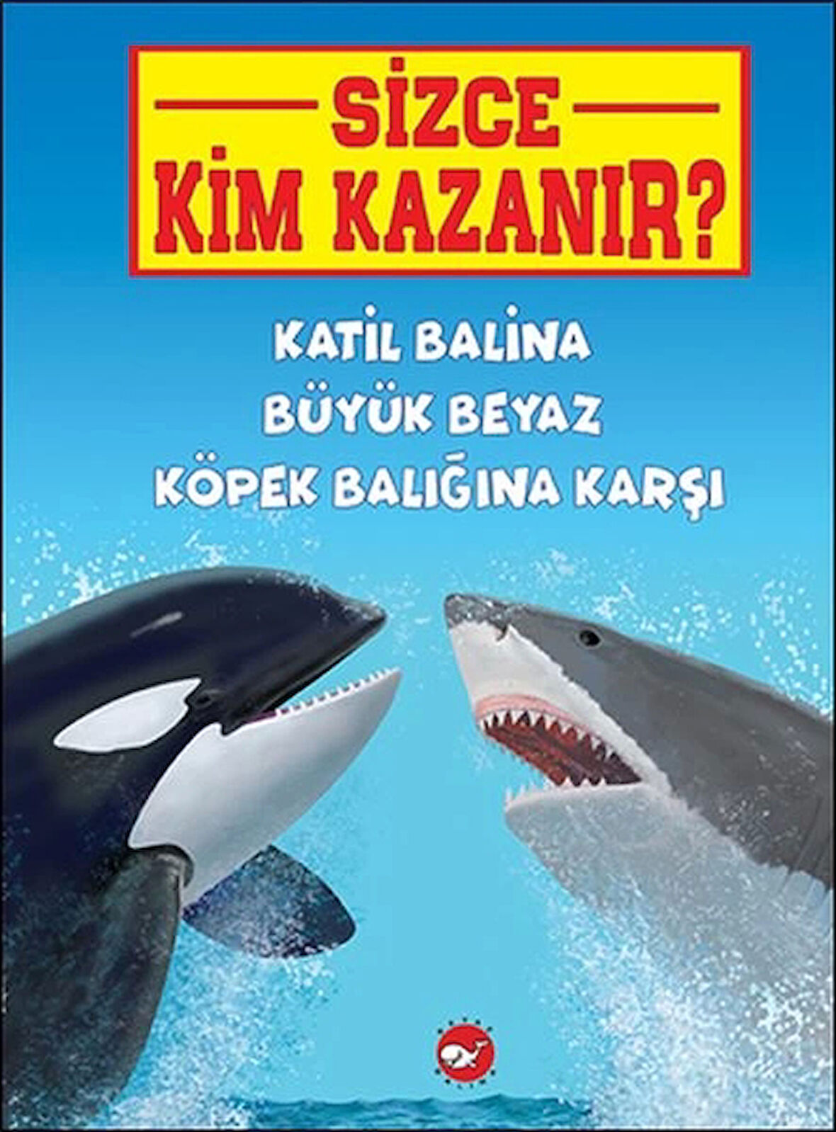 Sizce Kim Kazanır? Katil Balina Büyük Beyaz Köpek Balığına Karşı