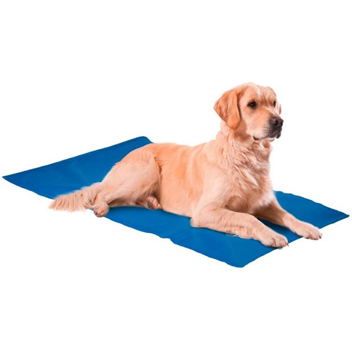 Nunbell Serinleticili Köpek Yatağı 4XLarge 75x100cm Mavi