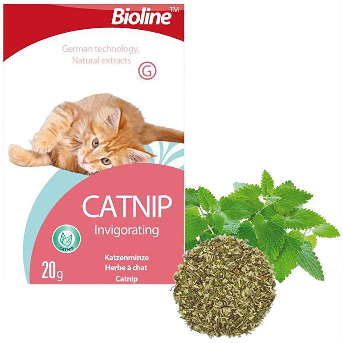 BİOLINE CATNİP KEDİ OTU 20 GR