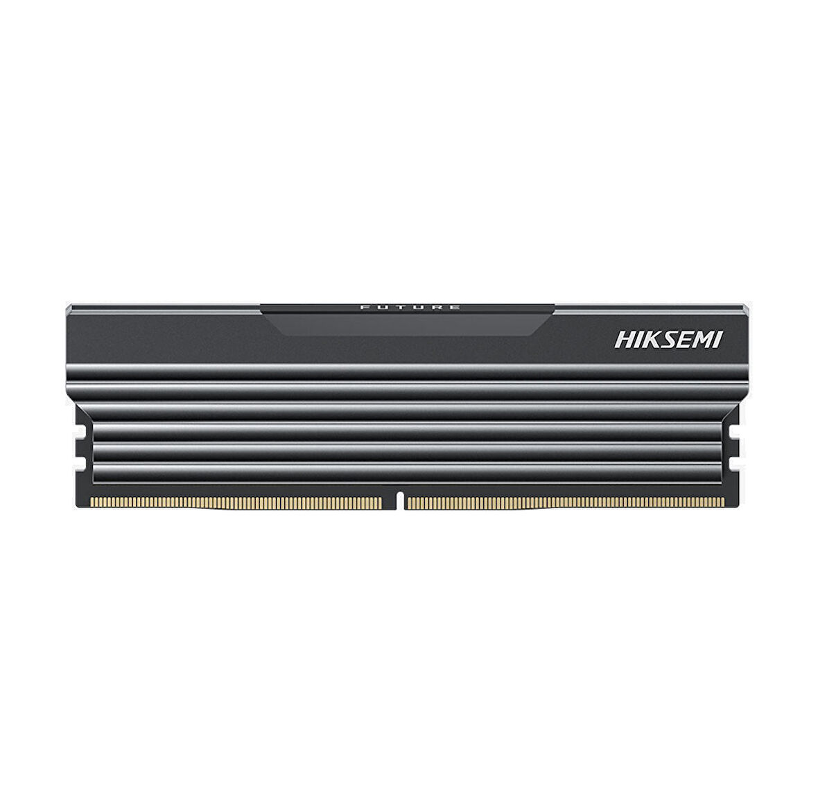 Hiksemi Future 8GB DDR4 3200MHz HSC408U32C2 Soğutuculu PC Ram