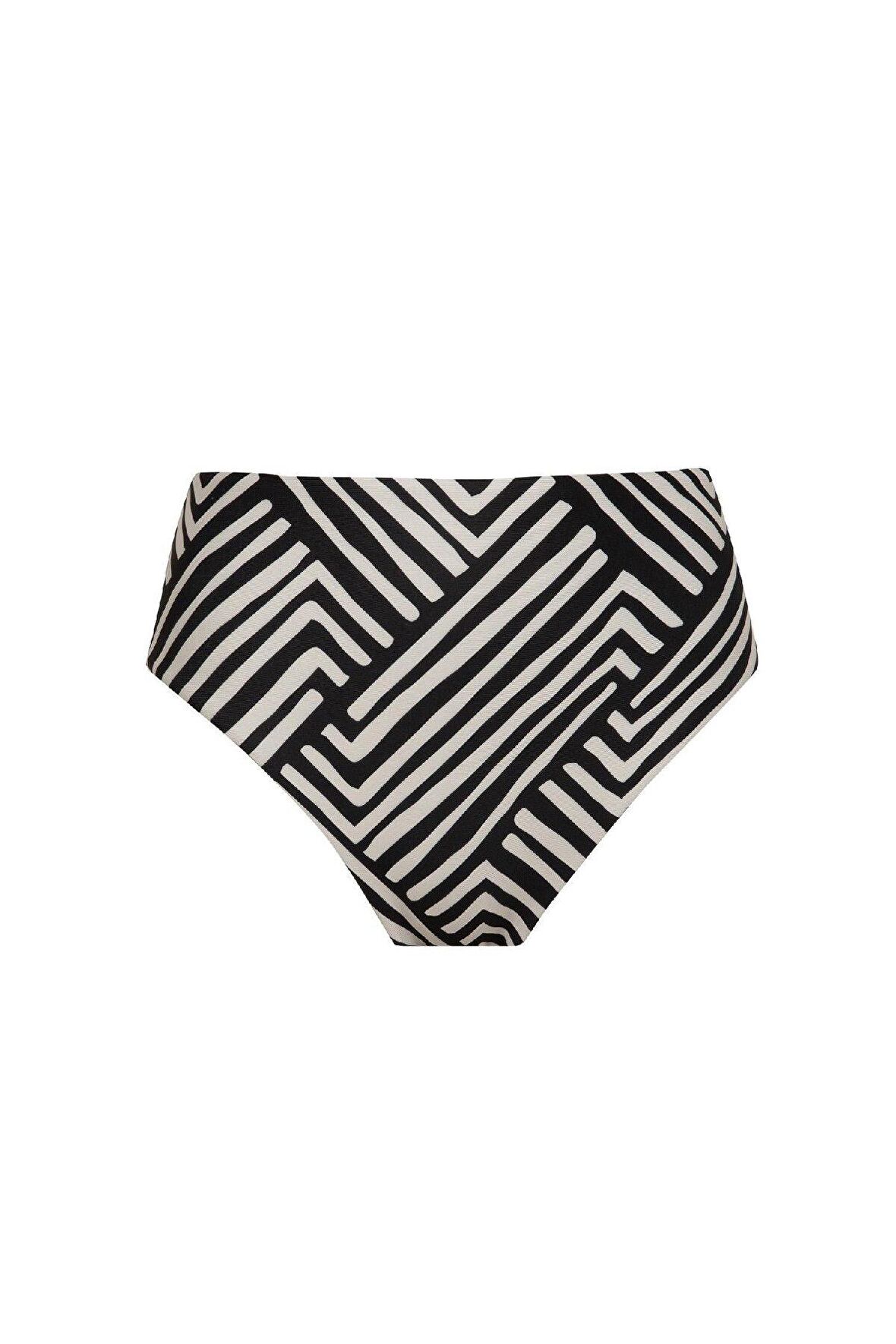 DeFacto Regular Fit Çizgili Yüksek Bel Bikini Altı-Fall in Love C3199AX24SMBK81