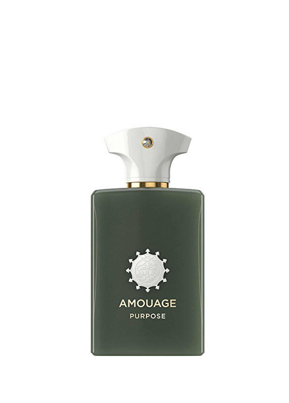 Amouage Purpose 50 Extrait de Parfum 100 ml Erkek Parfüm