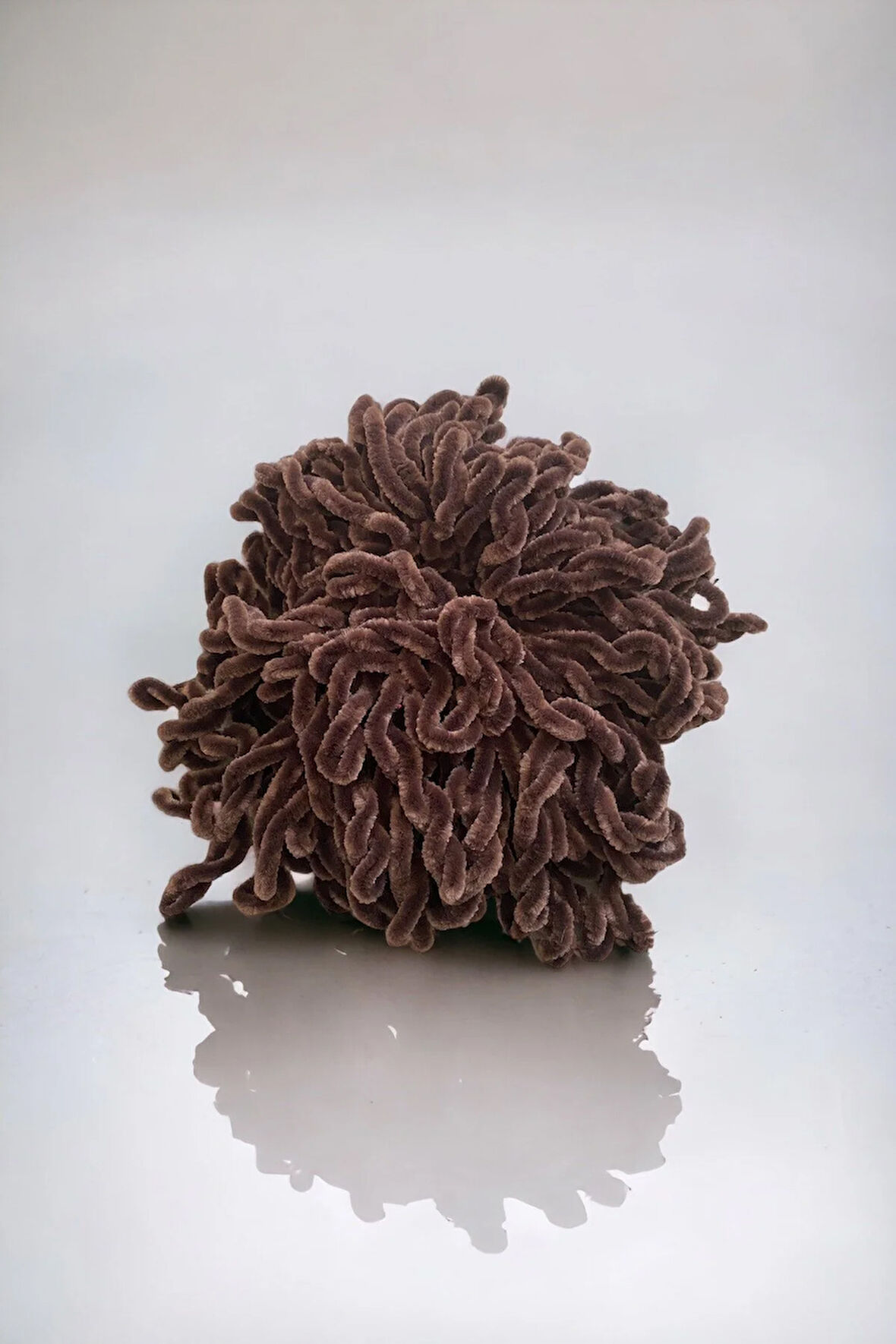 Kadın Kahverengi Topuz Toka