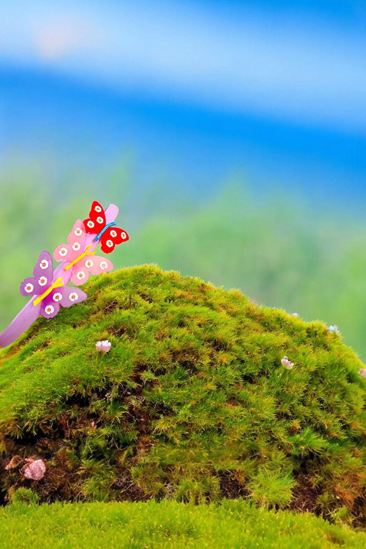 Çocuk Kelebek Figürlü Parlak Renklerde Taç