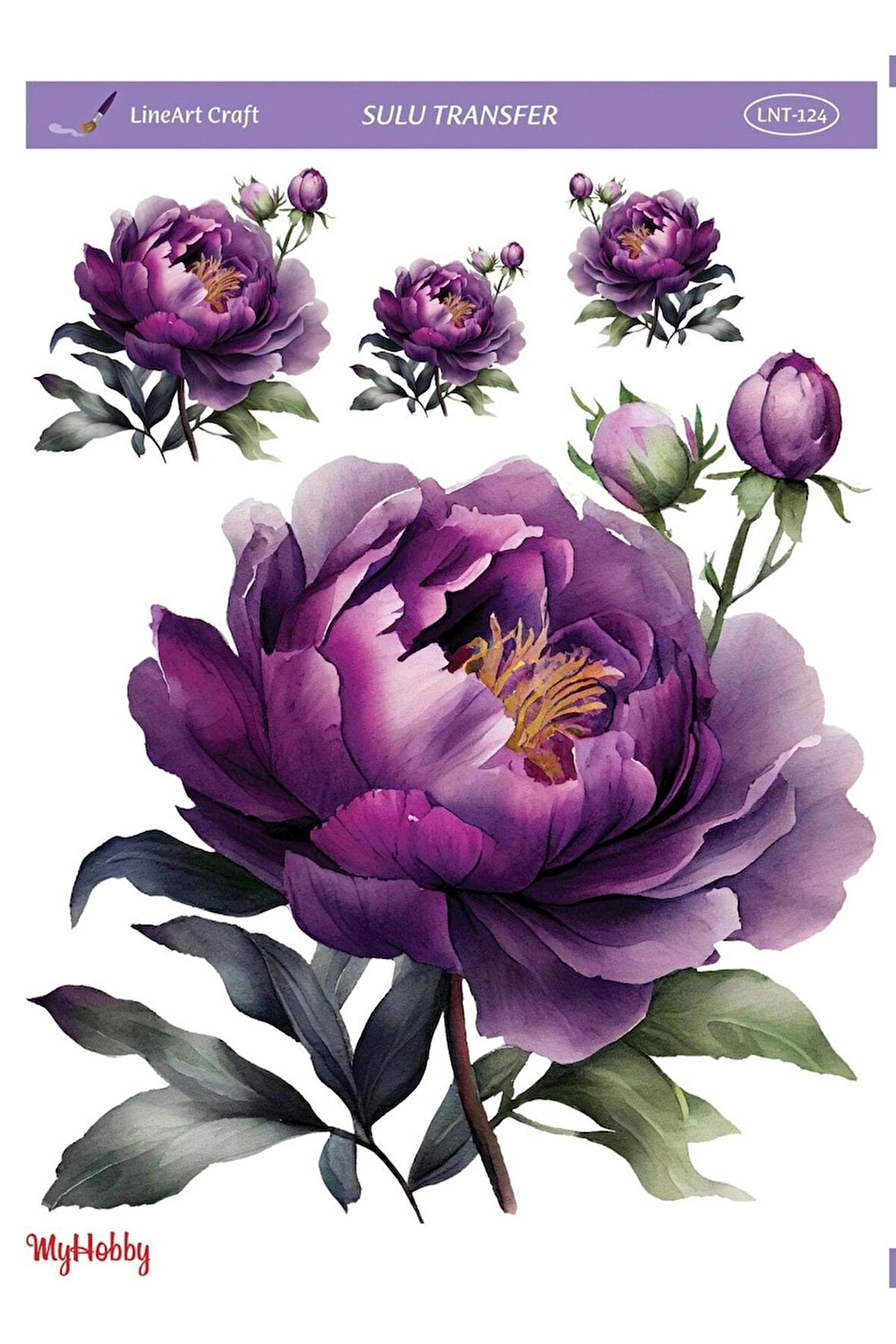 LineArt Sulu Transfer LNT124