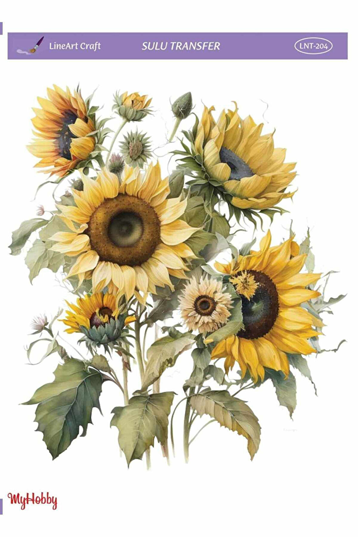 LineArt Sulu Transfer LNT204