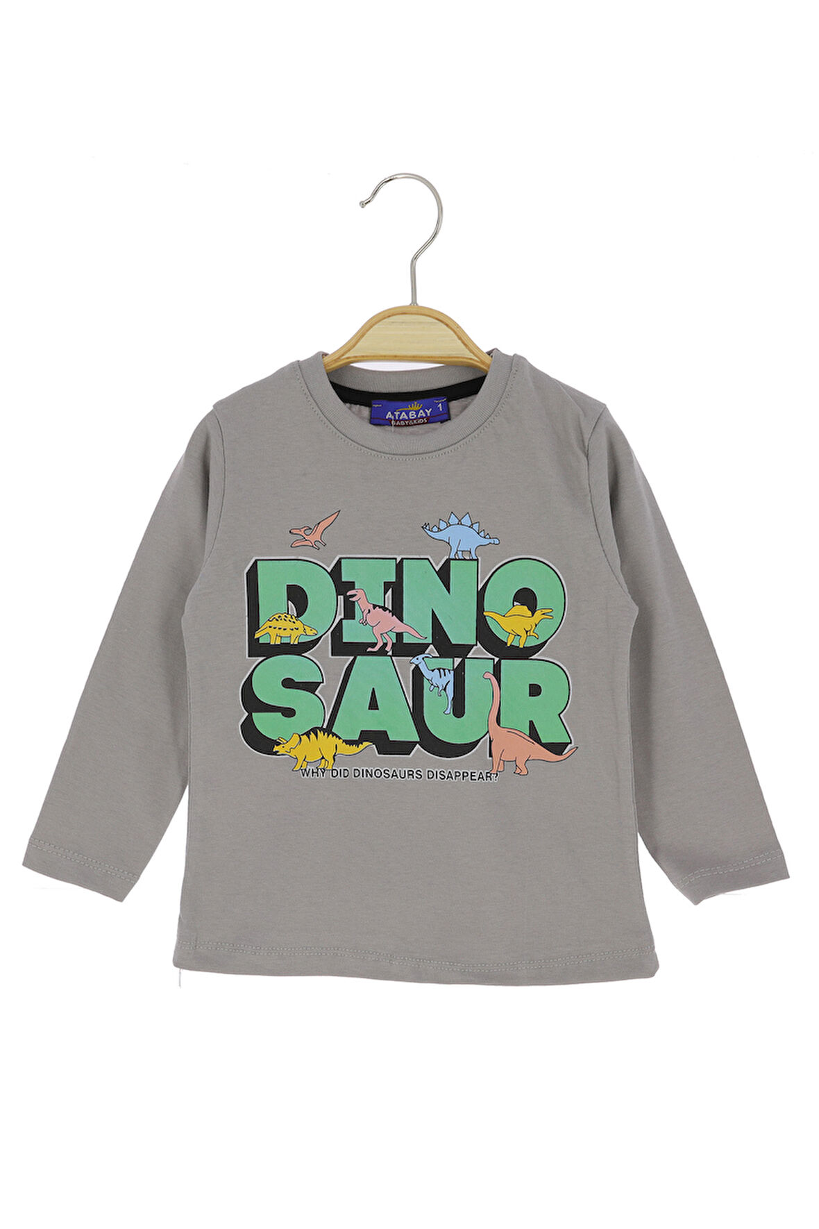 Erkek Çocuk Sweatshirt Yazılı