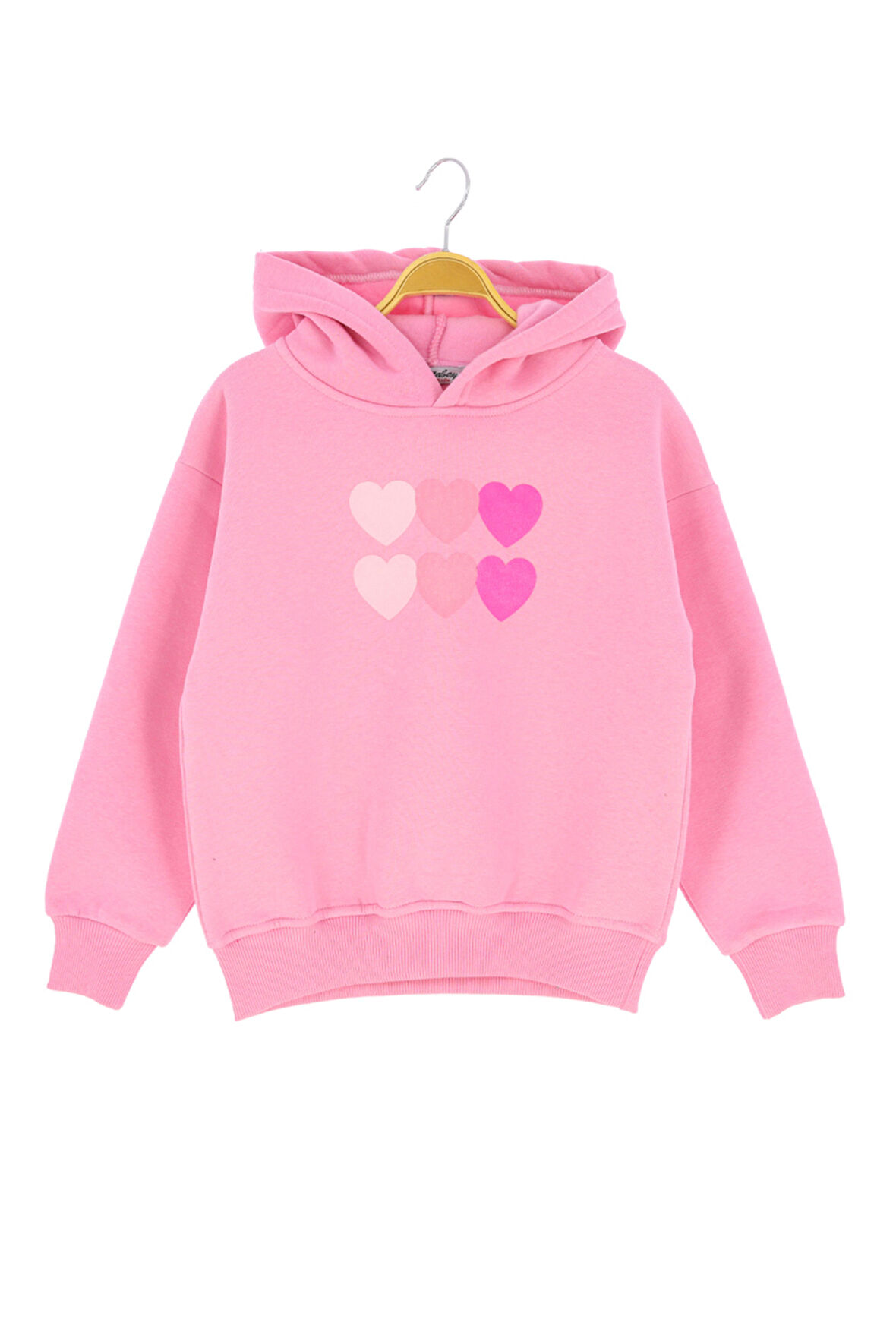 Kız Çocuk Sweatshirt Kapüşonlu Polarlı