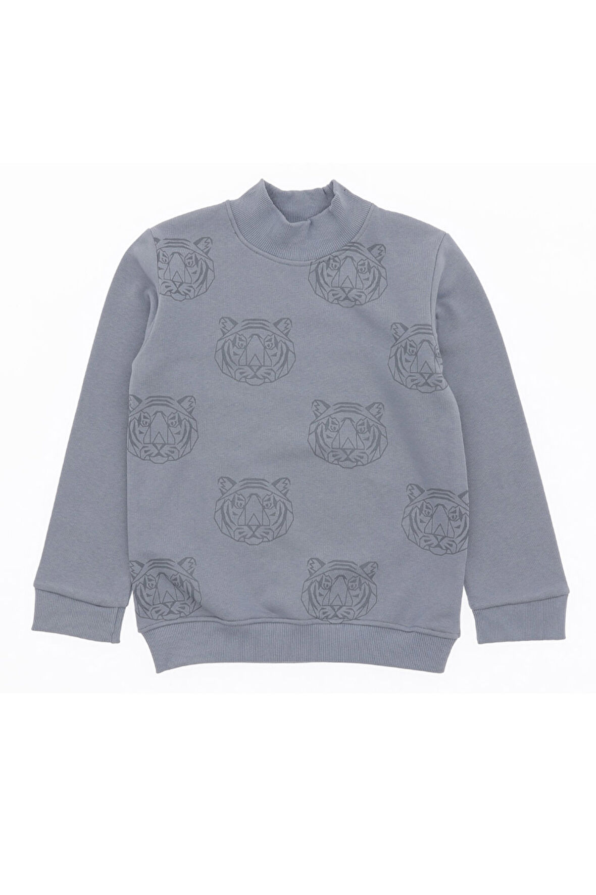 Erkek Çocuk Sweatshirt