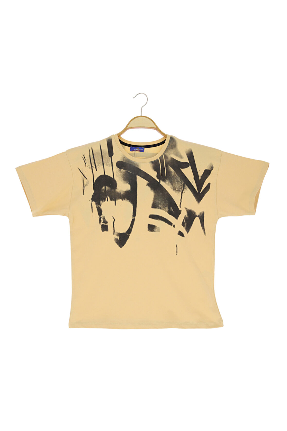 Erkek Çocuk T-Shirt Baskılı