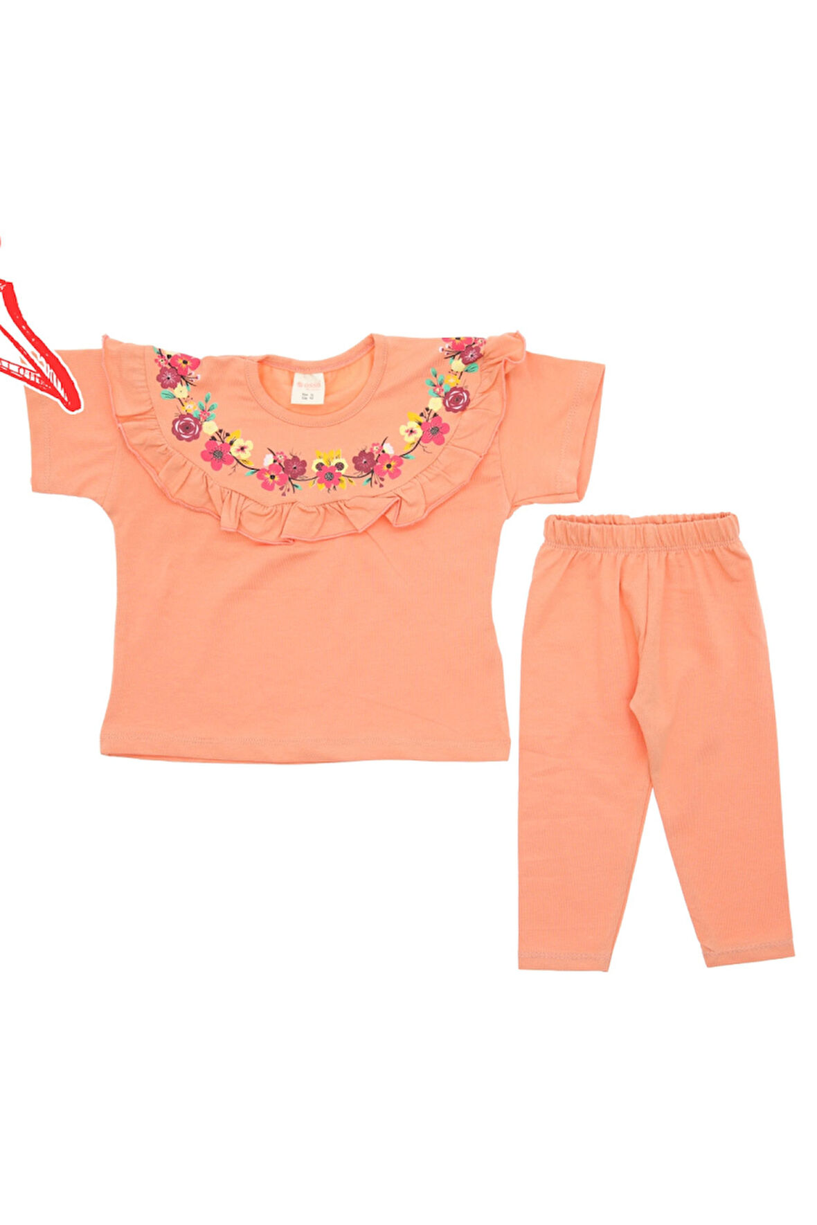 Kız Çocuk Taytlı Takım Baskılı