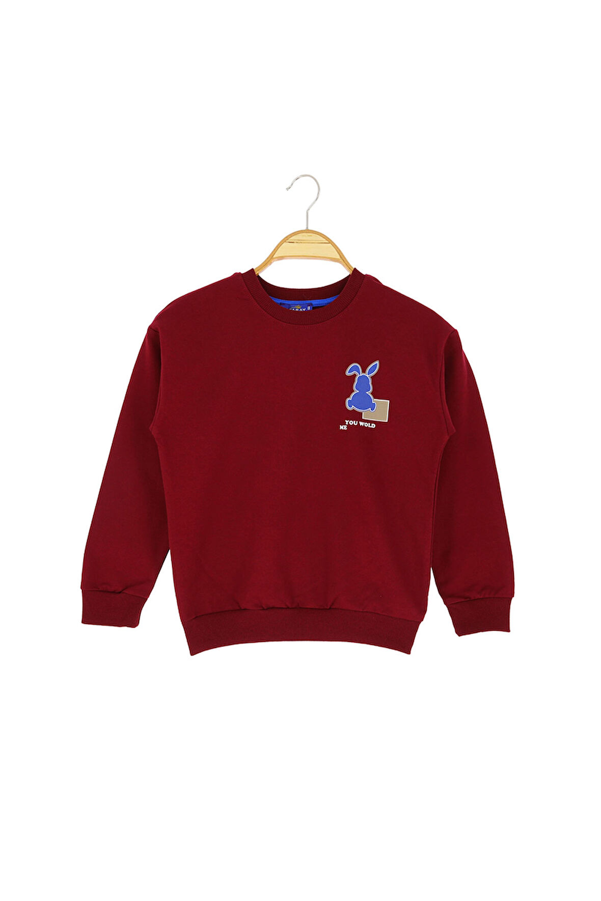 Erkek Çocuk Bluz Tavşan Baskılı Şardonlu