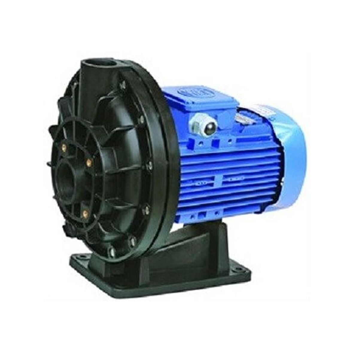 Best Model 0.75 HP Ön Filtresiz Pompa (Monofaze)