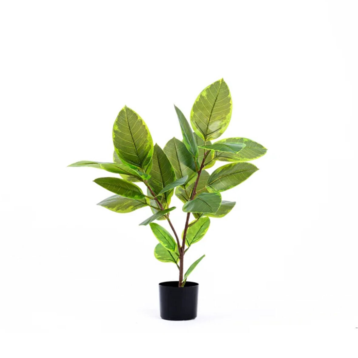 Reyo 90cm Ficus Altissima Gerçek Dokulu Yapay Ağaç Yeşil