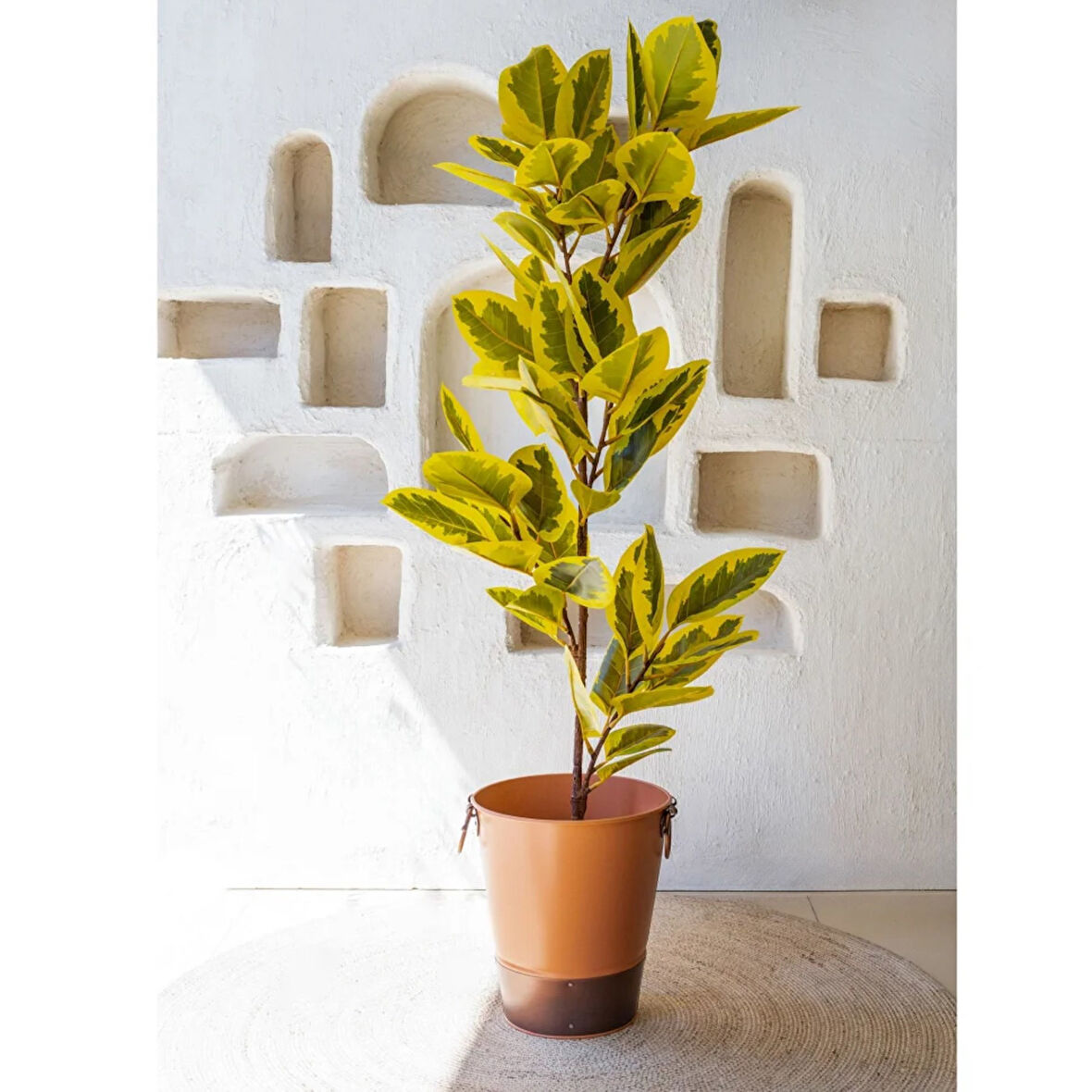 Reyo 170 cm Ficus Altissima Gerçek Dokulu Yapay Ağaç Gerçek Dokulu Sarı Yeşil 