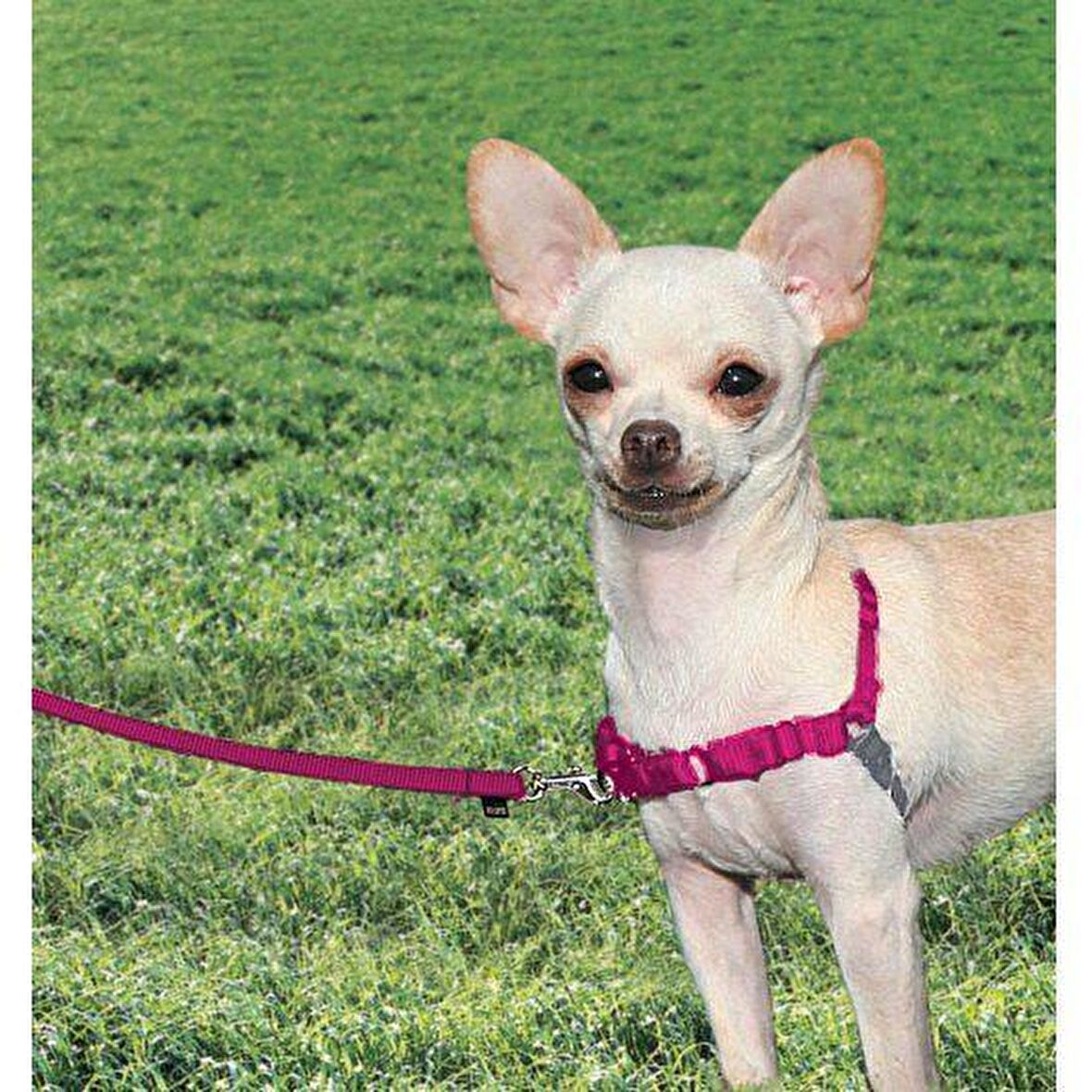 PETSAFE Easy Walk™ Harness Pembe Köpek Göğüs Tasması Extra Small ( 30 - 40 cm)