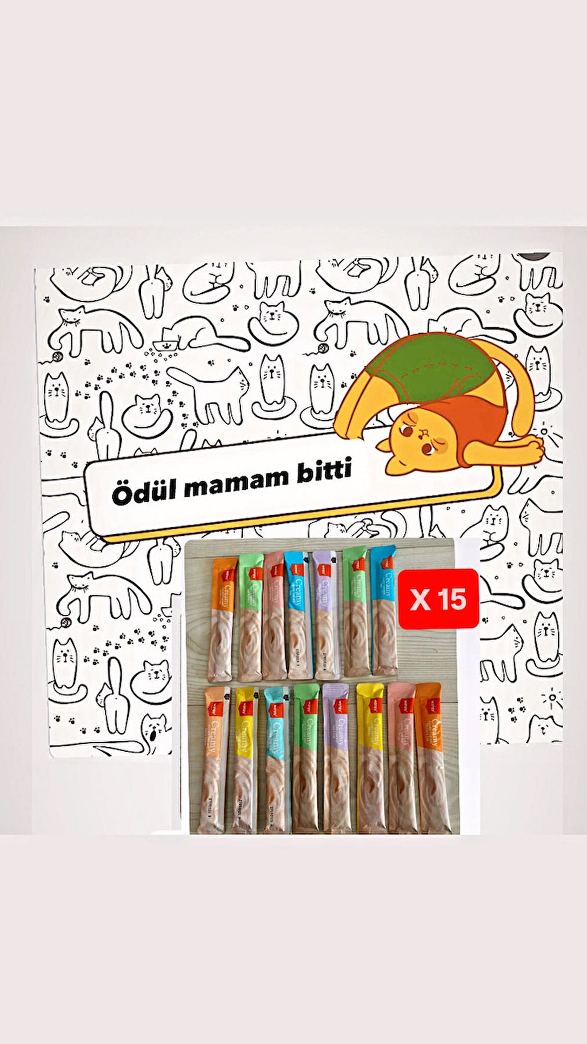 WANPY Karışık Lezzetli Kedi Ödülü 14 gr X 15 Adet SK:09.2026