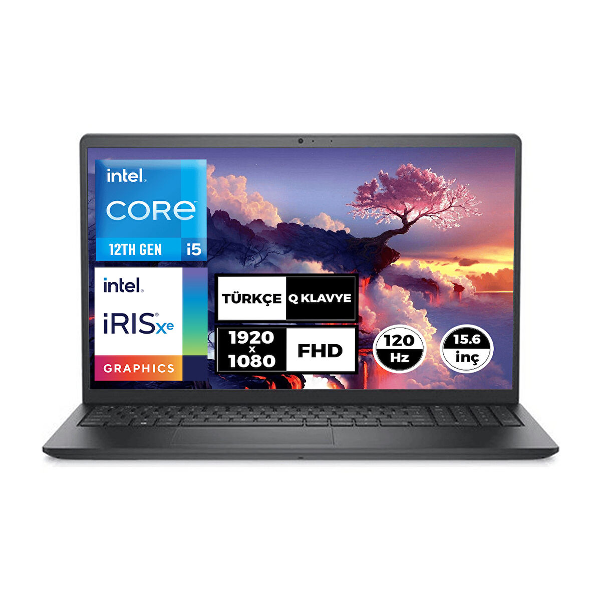 DELL VOSTRO 3520 i5-1235U 16GB 1TB SSD Fdos 15.6" FHD Taşınabilir Bilgisayar N1611PVNB3520U 008