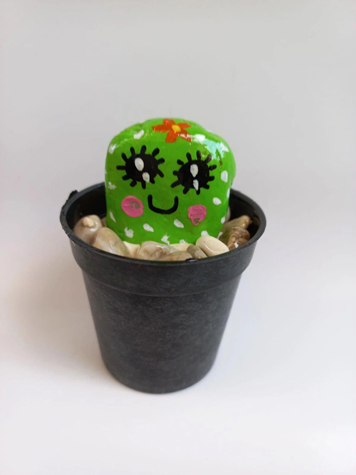 Kaktüs Biblo Saksı Gülen Yüz