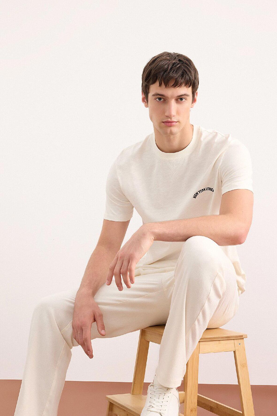 DeFacto %100 Pamuk Regular Fit Bisiklet Yaka Kısa Kollu Dokulu Baskılı Jakarlı Tişört D7913AX25SPWT46