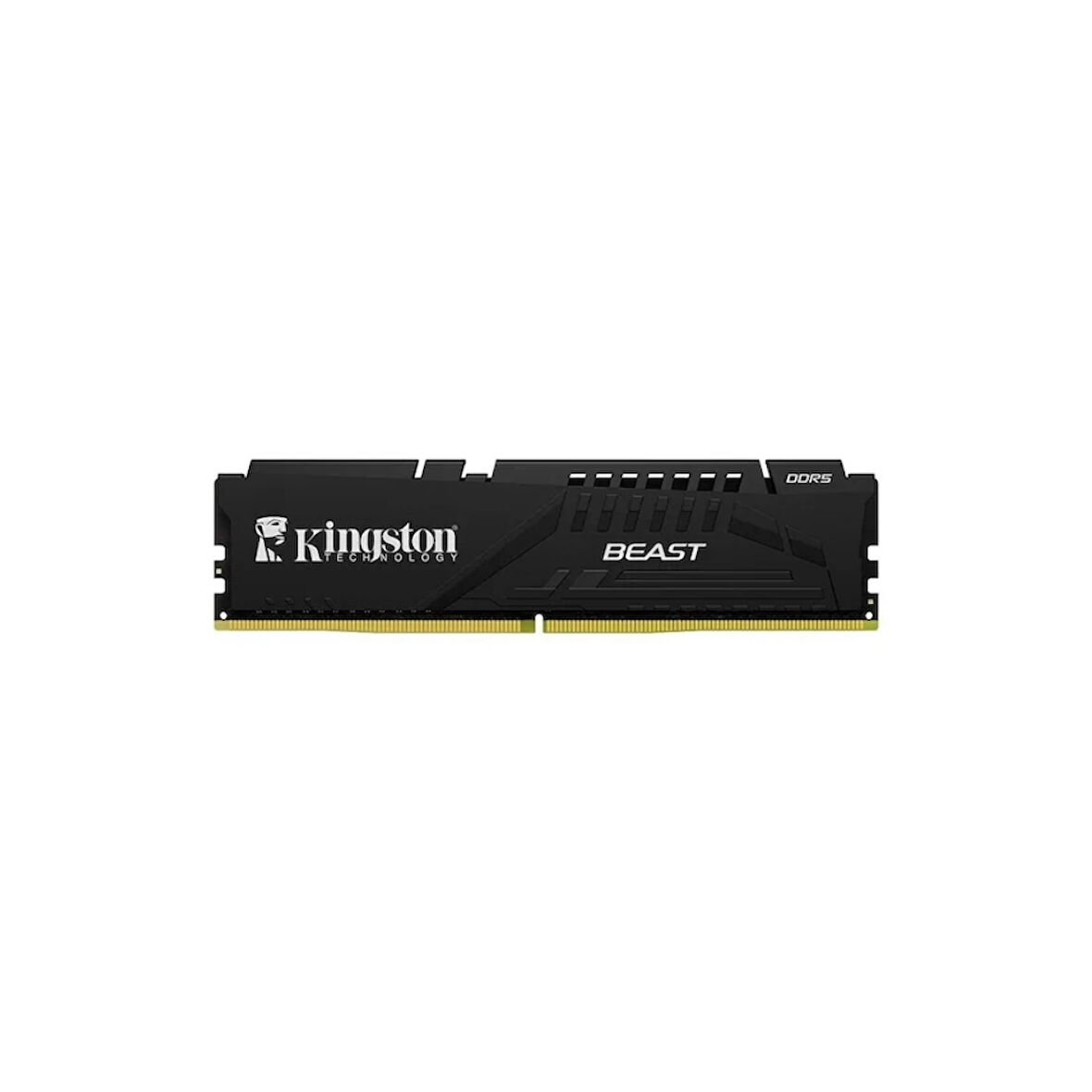 Kingston Beast KF556C36BBE-8TR 8GB (1x8) DDR5 5600Mhz CL36 Siyah Gaming RAM (Bellek)