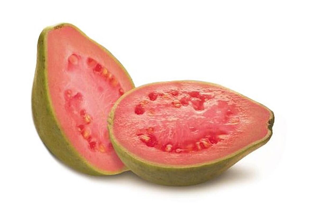 GUAVA MEYVESİ TOHUMU