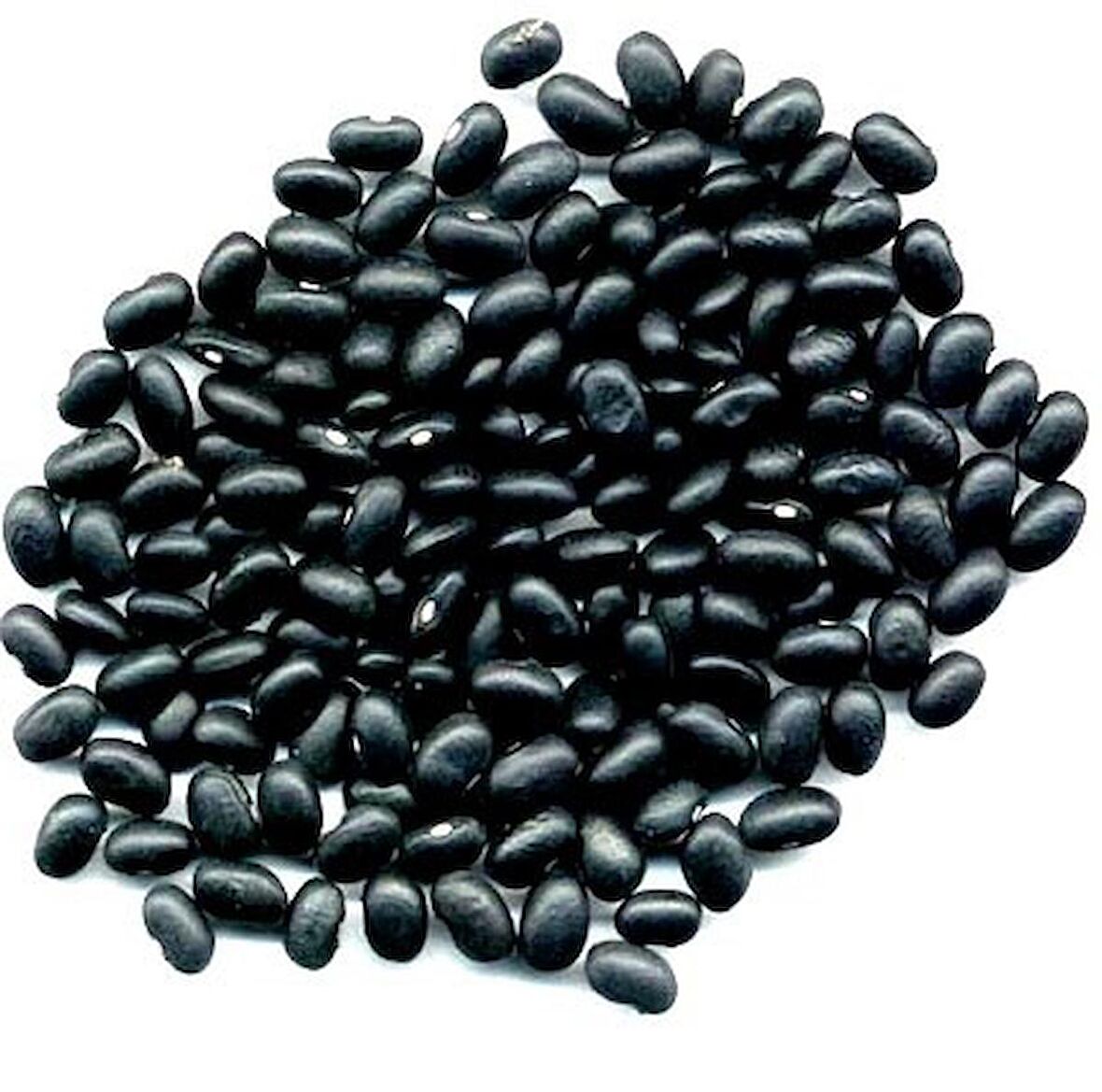 Tohhum Siyah Yağlı Fasulye [Tohhum Ev Bahçe]