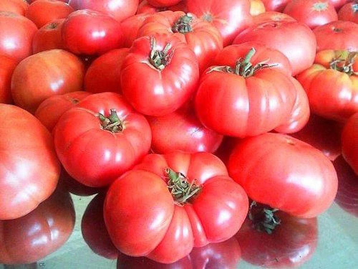 Tohhum Ankara Ayas Domates Tohumu 25+