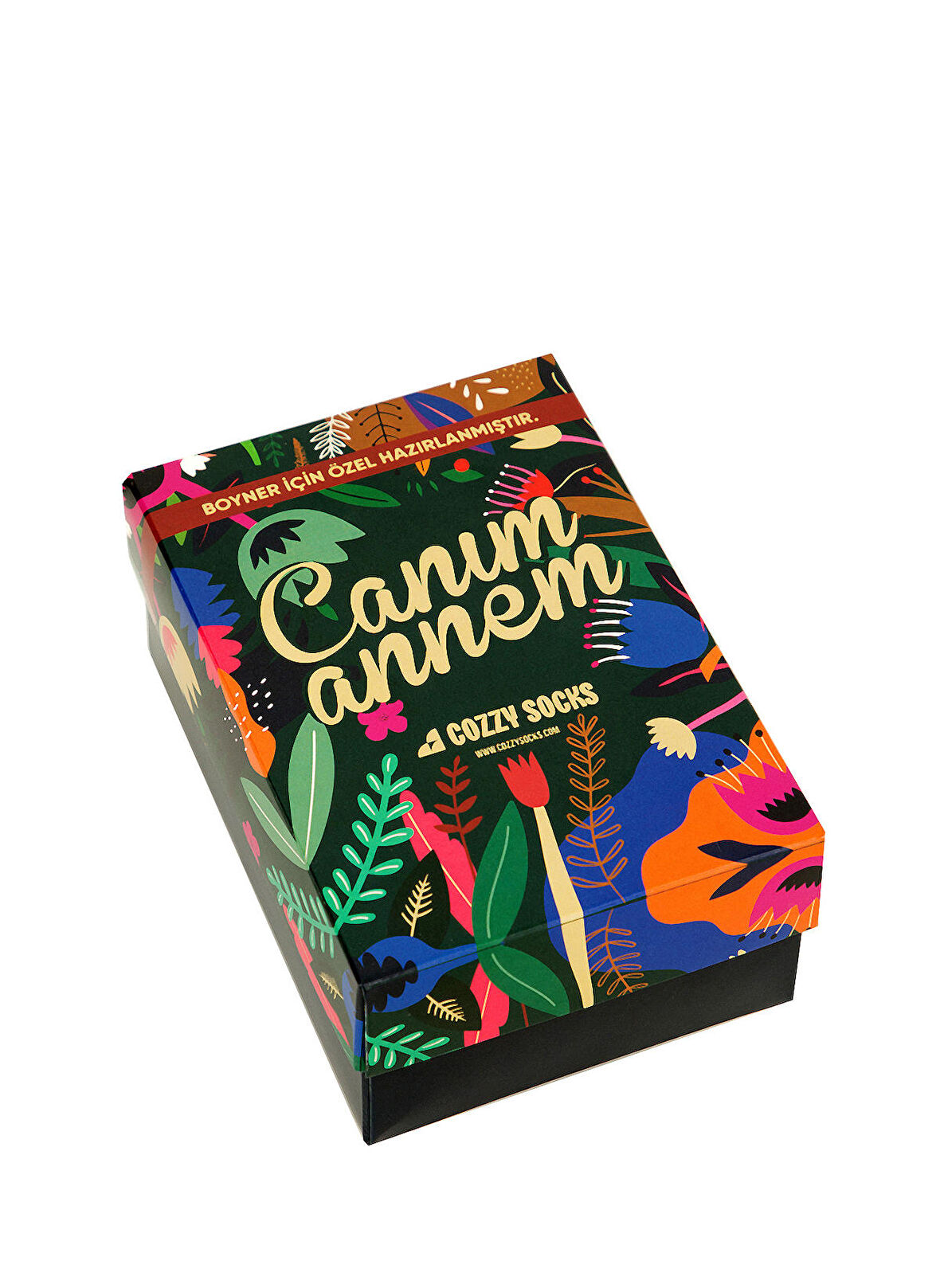 Cozzy Socks Çok Renkli Kadın Çorap COZZY-4354