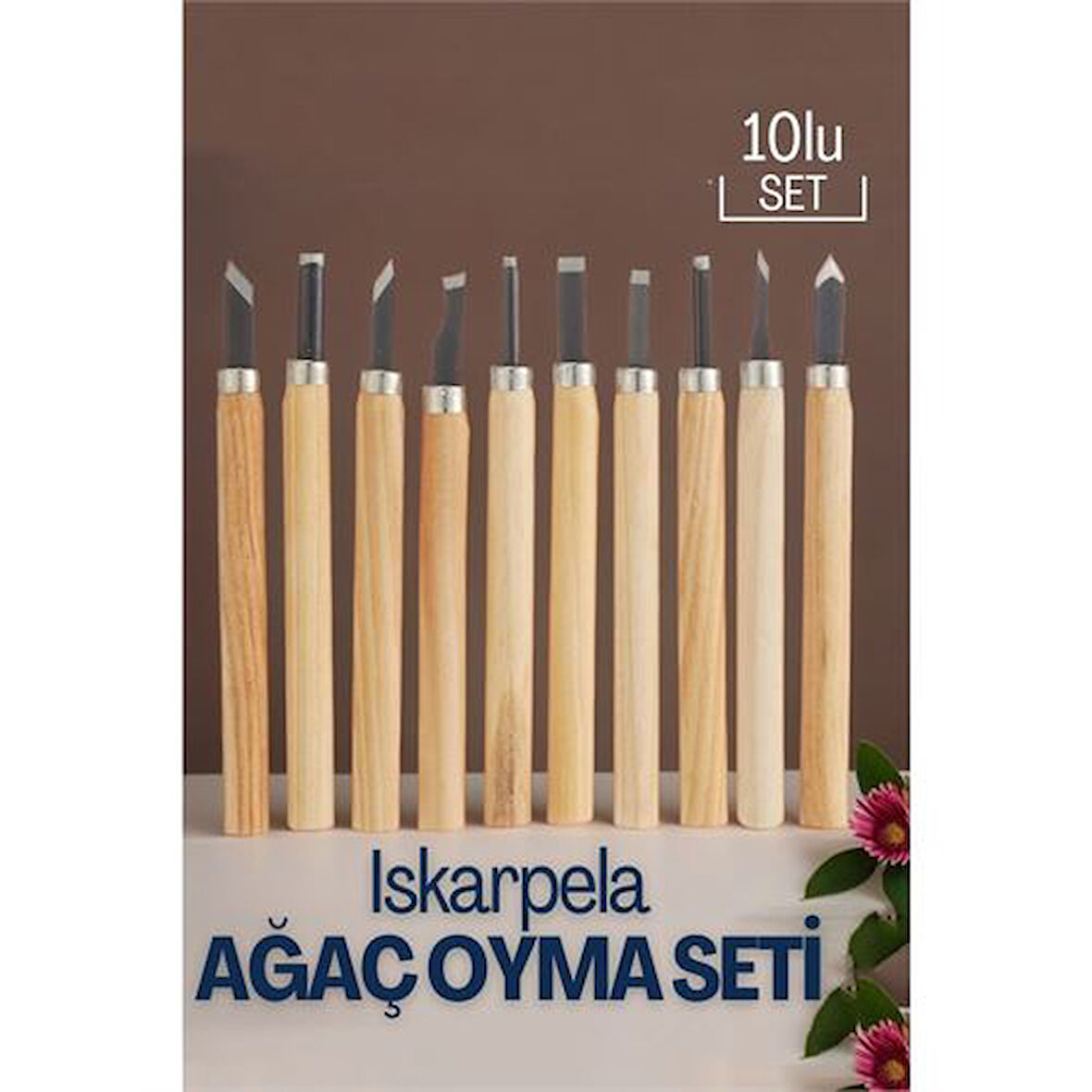 Modacar Ahşap Saplı İskarpela seti Ağaç ve Ahşap İşleme İçin Profesyonel Hobi Takımı Ahşap YontmaA Araçları