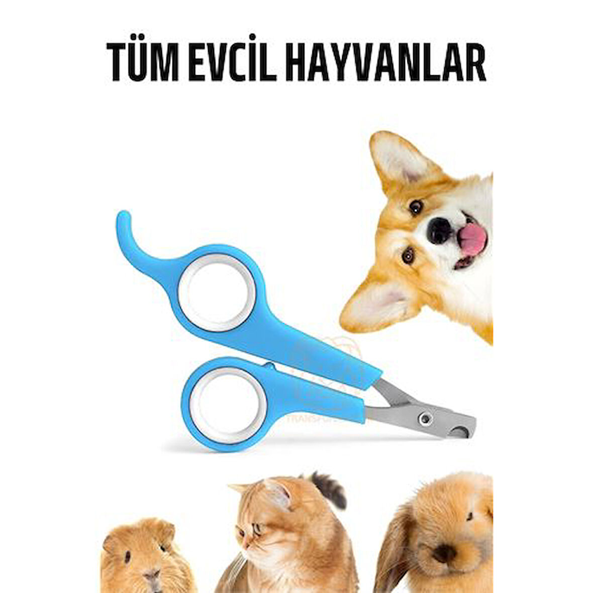 ModaCar Kedi Tırnak Makası Evcil Hayvan Köpek Tavşan Tırnak Makası