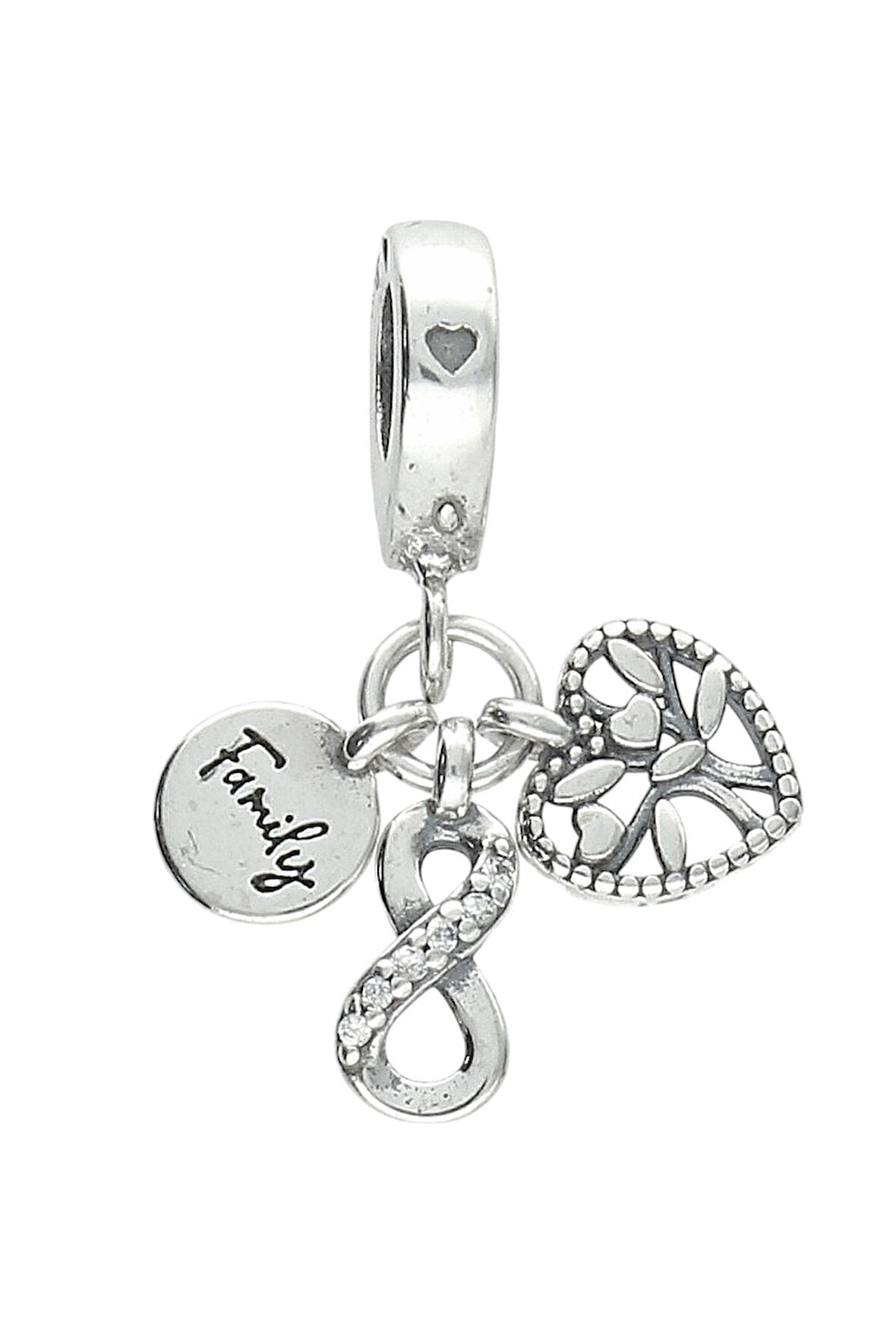 Sonsuza Dek Aileyiz Charm | 925 Ayar Gümüş