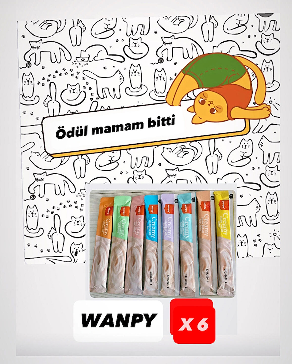 WANPY Karışık Lezzetli Kedi Ödül Maması 14 gr X 6 Adet SK:09.2026