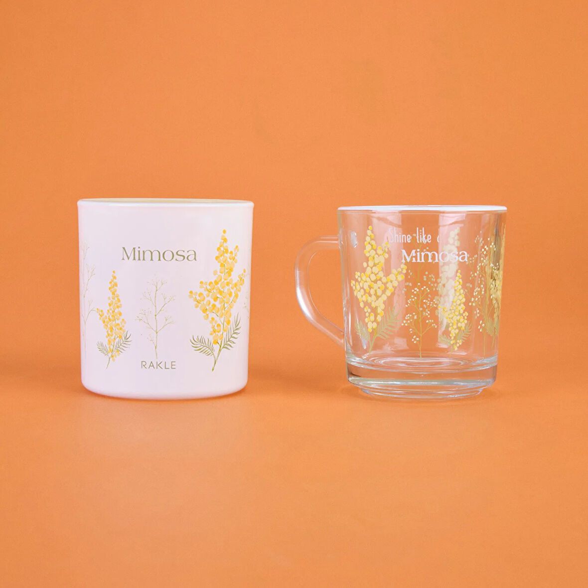 Mimosa Kupa ve Mum Seti - Renkli - 250 ml