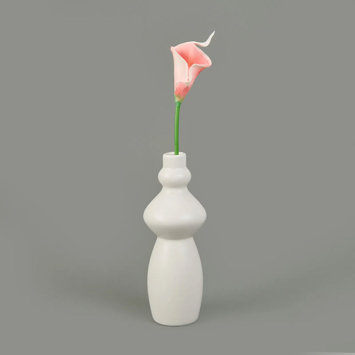 Dal Gala Çiçeği - Asorti - 33 cm