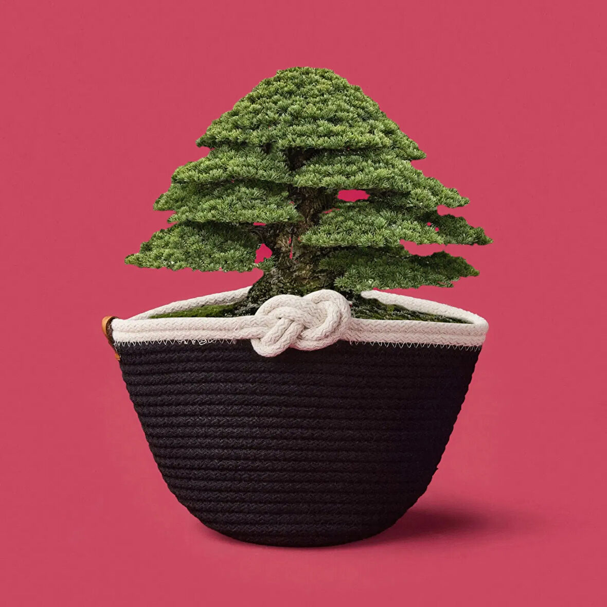 Kurdeleli Örgü Saksı - Siyah / Beyaz - 19x22x22 cm