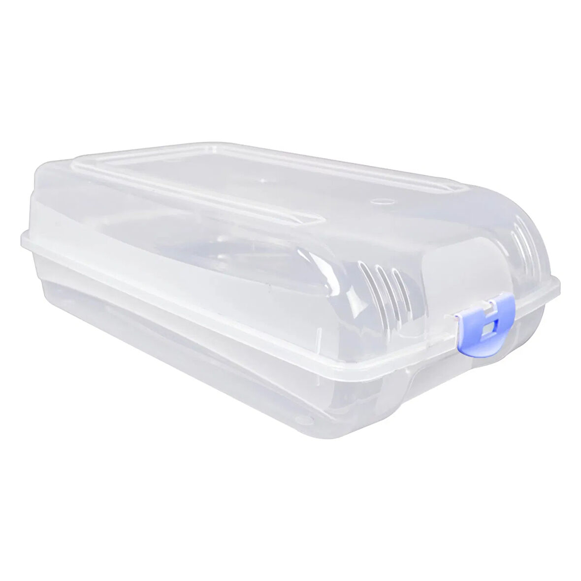 Bay Ayakkabı Koruma Kutusu - Asorti